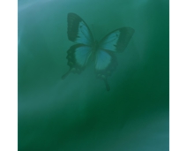 36/Green(2009).jpg