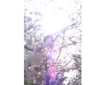 _DSF9558.JPG