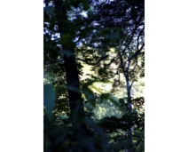 _DSF9914.JPG